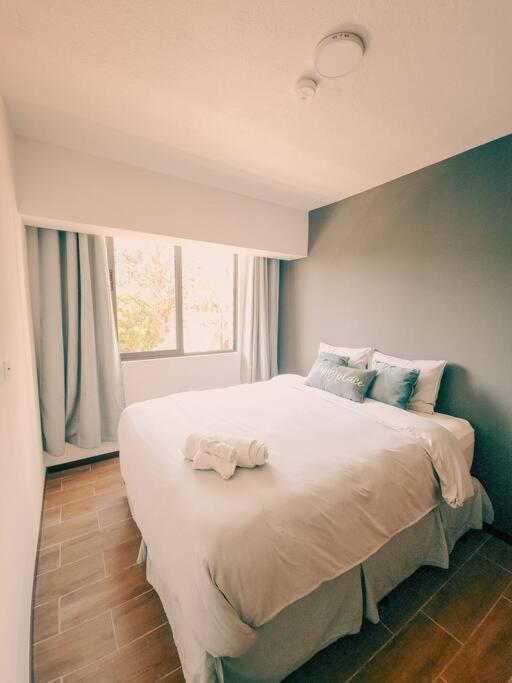 Entire Beautiful Condo With Rooftop Pool And Gym サンサルバドル エクステリア 写真
